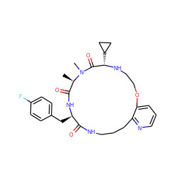 C[C@@H]1C(=O)N[C@H](Cc2ccc(F)cc2)C(=O)NCCCc2ncccc2OCCN[C@@H](C2CC2)C(=O)N1C ZINC001772628062