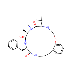 C[C@@H]1C(=O)N[C@H](Cc2ccccc2)C(=O)NCCCc2ccccc2OCCN[C@@H](C(C)(C)C)C(=O)N1C ZINC001772645373