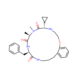 C[C@@H]1C(=O)N[C@H](Cc2ccccc2)C(=O)NCCCc2ccccc2OCCN[C@@H](C2CC2)C(=O)N1C ZINC000073161751