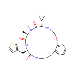 C[C@@H]1C(=O)N[C@H](Cc2ccsc2)C(=O)NCCCc2ccccc2OCCN[C@@H](C2CC2)C(=O)N1C ZINC001772595789