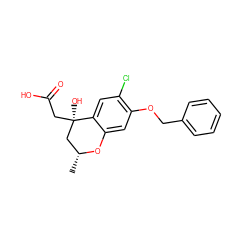 C[C@@H]1C[C@@](O)(CC(=O)O)c2cc(Cl)c(OCc3ccccc3)cc2O1 ZINC000013456229