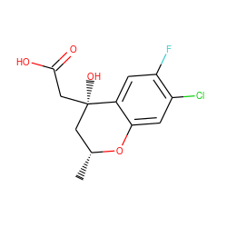 C[C@@H]1C[C@@](O)(CC(=O)O)c2cc(F)c(Cl)cc2O1 ZINC000003794416