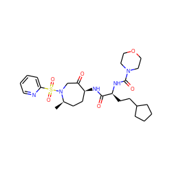 C[C@@H]1CC[C@H](NC(=O)[C@H](CCC2CCCC2)NC(=O)N2CCOCC2)C(=O)CN1S(=O)(=O)c1ccccn1 ZINC000072176770