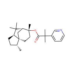 C[C@@H]1CC[C@H]2C(C)(C)[C@H]3C[C@]21CC[C@@]3(C)OC(=O)C(C)(C)c1cccnc1 ZINC000137656537