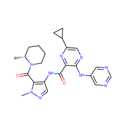 C[C@@H]1CCCCN1C(=O)c1c(NC(=O)c2nc(C3CC3)cnc2Nc2cncnc2)cnn1C ZINC000169701851