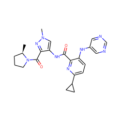 C[C@@H]1CCCN1C(=O)c1nn(C)cc1NC(=O)c1nc(C2CC2)ccc1Nc1cncnc1 ZINC000148874010