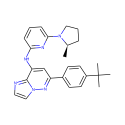 C[C@@H]1CCCN1c1cccc(Nc2cc(-c3ccc(C(C)(C)C)cc3)nn3ccnc23)n1 ZINC000207417898