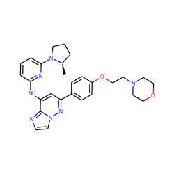 C[C@@H]1CCCN1c1cccc(Nc2cc(-c3ccc(OCCN4CCOCC4)cc3)nn3ccnc23)n1 ZINC000207423725