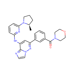 C[C@@H]1CCCN1c1cccc(Nc2cc(-c3cccc(C(=O)N4CCOCC4)c3)nn3ccnc23)n1 ZINC000207375545