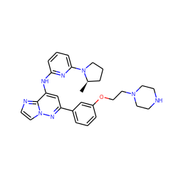 C[C@@H]1CCCN1c1cccc(Nc2cc(-c3cccc(OCCN4CCNCC4)c3)nn3ccnc23)n1 ZINC000207331538