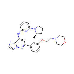 C[C@@H]1CCCN1c1cccc(Nc2cc(-c3cccc(OCCN4CCOCC4)c3)nn3ccnc23)n1 ZINC000207423493