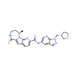 C[C@@H]1CCNC(=O)c2cc3ccc(C(=O)Nc4cnc5c(cnn5C[C@@H]5CCOC5)c4)nc3n21 ZINC000117714505