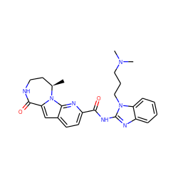 C[C@@H]1CCNC(=O)c2cc3ccc(C(=O)Nc4nc5ccccc5n4CCCN(C)C)nc3n21 ZINC000147162066