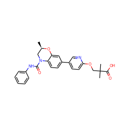 C[C@@H]1CN(C(=O)Nc2ccccc2)c2ccc(-c3ccc(OCC(C)(C)C(=O)O)nc3)cc2O1 ZINC000139395824