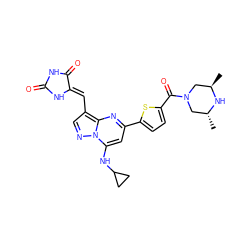 C[C@@H]1CN(C(=O)c2ccc(-c3cc(NC4CC4)n4ncc(/C=C5\NC(=O)NC5=O)c4n3)s2)C[C@@H](C)N1 ZINC000144878475