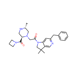 C[C@@H]1CN(CC(=O)N2CC(C)(C)c3cnc(Cc4ccccc4)cc32)[C@@H](C(=O)N2CCC2)CN1 ZINC000221250918