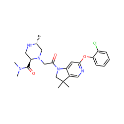 C[C@@H]1CN(CC(=O)N2CC(C)(C)c3cnc(Oc4ccccc4Cl)cc32)[C@@H](C(=O)N(C)C)CN1 ZINC000219010622