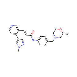 C[C@@H]1CN(Cc2ccc(NC(=O)/C=C/c3cnccc3-c3cnn(C)c3)cc2)CCO1 ZINC001772652265