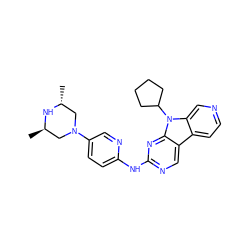 C[C@@H]1CN(c2ccc(Nc3ncc4c5ccncc5n(C5CCCC5)c4n3)nc2)C[C@@H](C)N1 ZINC000169706645