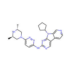 C[C@@H]1CN(c2ccc(Nc3ncc4c5ccncc5n(C5CCCC5)c4n3)nn2)C[C@@H](C)N1 ZINC000169706698