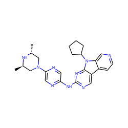 C[C@@H]1CN(c2cnc(Nc3ncc4c5ccncc5n(C5CCCC5)c4n3)cn2)C[C@@H](C)N1 ZINC000169706656