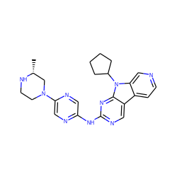 C[C@@H]1CN(c2cnc(Nc3ncc4c5ccncc5n(C5CCCC5)c4n3)cn2)CCN1 ZINC000169706659