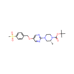 C[C@@H]1CN(c2ncc(OCc3ccc(S(C)(=O)=O)cc3)cn2)CCN1C(=O)OC(C)(C)C ZINC000084741683