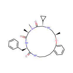 C[C@@H]1CN[C@@H](C2CC2)C(=O)N(C)[C@H](C)C(=O)N[C@H](Cc2ccccc2)C(=O)NCCCc2ccccc2O1 ZINC000073160951