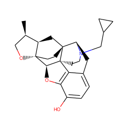 C[C@@H]1CO[C@@]23CC[C@@]4(C[C@H]12)[C@H]1Cc2ccc(O)c5c2[C@@]4(CCN1CC1CC1)[C@H]3O5 ZINC000169715917