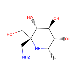 C[C@@H]1N[C@](CN)(CO)[C@H](O)[C@@H](O)[C@@H]1O ZINC000253687857