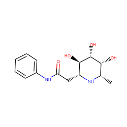 C[C@@H]1N[C@H](CC(=O)Nc2ccccc2)[C@@H](O)[C@H](O)[C@@H]1O ZINC000096286027