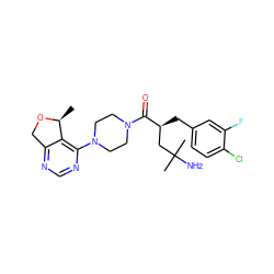 C[C@@H]1OCc2ncnc(N3CCN(C(=O)[C@@H](Cc4ccc(Cl)c(F)c4)CC(C)(C)N)CC3)c21 ZINC000066261947