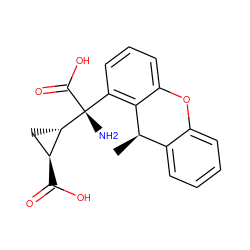 C[C@@H]1c2ccccc2Oc2cccc([C@@](N)(C(=O)O)[C@H]3C[C@@H]3C(=O)O)c21 ZINC000029336120