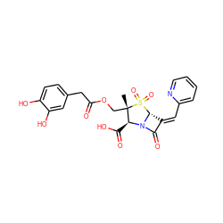 C[C@]1(COC(=O)Cc2ccc(O)c(O)c2)[C@H](C(=O)O)N2C(=O)/C(=C/c3ccccn3)[C@H]2S1(=O)=O ZINC000003941200