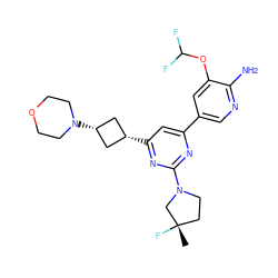 C[C@]1(F)CCN(c2nc(-c3cnc(N)c(OC(F)F)c3)cc([C@H]3C[C@@H](N4CCOCC4)C3)n2)C1 ZINC000653755716