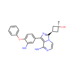 C[C@]1(O)C[C@@H](c2nc(-c3ccc(Oc4ccccc4)c(N)c3)c3c(N)nccn32)C1 ZINC000100619046