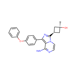 C[C@]1(O)C[C@@H](c2nc(-c3ccc(Oc4ccccc4)cc3)c3c(N)nccn32)C1 ZINC000100618686