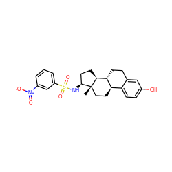 C[C@]12CC[C@@H]3c4ccc(O)cc4CC[C@H]3[C@@H]1CC[C@@H]2NS(=O)(=O)c1cccc([N+](=O)[O-])c1 ZINC000073197971