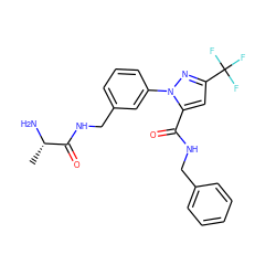 C[C@H](N)C(=O)NCc1cccc(-n2nc(C(F)(F)F)cc2C(=O)NCc2ccccc2)c1 ZINC000040394321