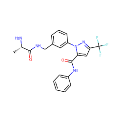 C[C@H](N)C(=O)NCc1cccc(-n2nc(C(F)(F)F)cc2C(=O)Nc2ccccc2)c1 ZINC000040405046