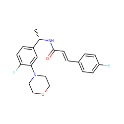 C[C@H](NC(=O)/C=C/c1ccc(F)cc1)c1ccc(F)c(N2CCOCC2)c1 ZINC000001486134