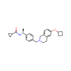 C[C@H](NC(=O)C1CC1)c1ccc(CN2CCc3cc(OC4CCC4)ccc3C2)cc1 ZINC001772628054