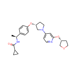 C[C@H](NC(=O)C1CC1)c1ccc(O[C@@H]2CCN(c3ccnc(O[C@@H]4CCOC4)c3)C2)cc1 ZINC000169709812