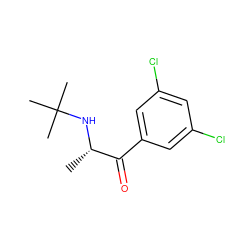 C[C@H](NC(C)(C)C)C(=O)c1cc(Cl)cc(Cl)c1 ZINC000045302418