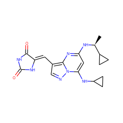 C[C@H](Nc1cc(NC2CC2)n2ncc(/C=C3\NC(=O)NC3=O)c2n1)C1CC1 ZINC000205036868