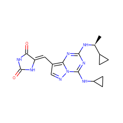 C[C@H](Nc1nc(NC2CC2)n2ncc(/C=C3\NC(=O)NC3=O)c2n1)C1CC1 ZINC000205024695