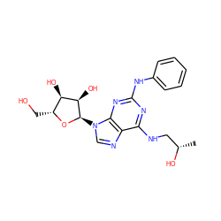 C[C@H](O)CNc1nc(Nc2ccccc2)nc2c1ncn2[C@H]1O[C@H](CO)[C@@H](O)[C@H]1O ZINC000048999245