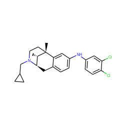 C[C@H]1[C@H]2Cc3ccc(Nc4ccc(Cl)c(Cl)c4)cc3[C@@]1(C)CCN2CC1CC1 ZINC000100935589