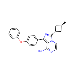 C[C@H]1C[C@H](c2nc(-c3ccc(Oc4ccccc4)cc3)c3c(N)nccn32)C1 ZINC000100619022