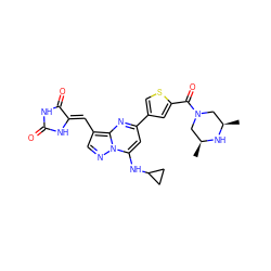 C[C@H]1CN(C(=O)c2cc(-c3cc(NC4CC4)n4ncc(/C=C5\NC(=O)NC5=O)c4n3)cs2)C[C@@H](C)N1 ZINC000205031434